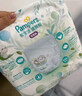 帮宝适超薄透气清新帮拉拉裤新生儿婴儿尿不湿尿片透氧Pro XL62 实拍图