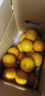 京鲜生 广西皇帝柑/橘子 净重5斤 单果100g起 生鲜水果年货礼盒 实拍图