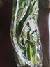 油麦菜约300g 实拍图