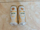 青岛啤酒（TsingTao）精酿白啤 全麦酿造 500ml*18听 整箱装 年货送礼 实拍图