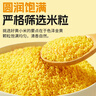 赤川黄小米5斤（内蒙古赤峰小米粥杂粮粥）蒸饭更软糯敖汉原产地 实拍图