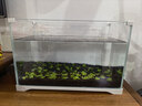 森森超白桌面小鱼缸生态玻璃缸水草缸客厅造景金鱼缸HWK-420P裸缸 实拍图