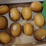 佳沛（zespri）意大利  阳光金奇异果10粒礼盒巨大果单果约144-175g 年货礼盒 实拍图