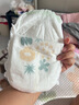 babycare艺术大师拉拉裤成长裤XL码28片(12-17kg) 婴儿尿不湿瞬吸干爽透气 实拍图