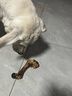 蒙贝狗零食狗狗磨牙棒 香酥牛棒骨 磨牙洁齿除垢 适用成犬大型犬 大号 实拍图
