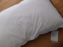水星家纺枕头枕芯酒店枕头护颈枕头芯家用单个纯棉抗菌可水洗低枕48x74cm 实拍图