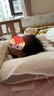 婧麒（JOYNCLEON）婴儿枕头分区宝宝枕护颈神器6个月以上儿童枕头1-3岁 粉Jzt191221 实拍图