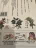 珍视明忆江南系列艾草 热敷蒸汽眼罩10片 遮光睡眠眼罩 实拍图