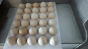 京鲜生【供港品质】【每日鲜蛋】无抗谷物鸡蛋30枚3.78斤当日产蛋当日发 实拍图