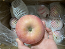 京鲜生 烟台红富士苹果 净重10斤 单果190g以上 生鲜水果 礼盒装 实拍图