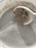 五谷磨房【鹭卓同款】核桃芝麻黑豆粉黑芝麻糊炖奶五黑粉代餐粉600g*3罐 实拍图
