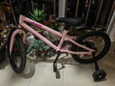 京东京造行云儿童自行车京东自营3-6岁山地自行车学生男女孩16寸落樱粉 实拍图