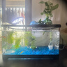 阔庭（KUOTING）鱼缸桌面透明生态鱼缸客厅水族箱黑色 实拍图