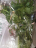 大芹菜约400g 实拍图
