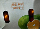 【整箱】湖南麻阳冰糖橙2.5kg 单果60mm 实拍图