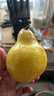 亨迅烟台太婆梨山东梨子啤梨香蕉梨大头梨茄梨软梨新鲜水果生鲜 【热卖推荐】净重4.5斤 香甜软糯|核心产区直发|放软后吃 实拍图