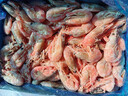 美加佳熟冻北极甜虾腹籽净重3斤 90/130规格   熟冻甜虾 海鲜水产 实拍图