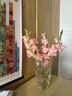 粉红色剑兰节节高鲜花年宵花广州发春节装饰情人节礼物长65-70cm 5支红色剑兰+5支粉色剑兰 实拍图