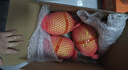 京鲜生 海南黄金哈密瓜 3-4粒  净重12斤 单果3斤起 生鲜水果礼盒 实拍图