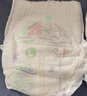 好奇（Huggies）小森林拉拉裤XL32+2片(12-17kg)尿不湿心钻【透氧顶配更低敏】 实拍图