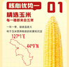十月稻田 黄糯香玉米 8根 3.52斤  早餐粗粮 新年礼盒 低脂杂粮 东北 实拍图