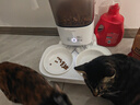 霍曼（Homerun）宠物智能自动喂食器猫粮定时猫咪自动投食机陶瓷双碗增高版PF20 实拍图
