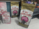 皇家猫粮 英短幼猫粮 BSK38 通用粮 4-12月 2KG 实拍图