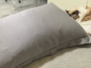 MGXEK【德国】枕头羽丝绒枕五星级酒店护颈枕希尔顿酒店同款深度睡眠枕 银灰色低枕【48*74cm】 一对 皇家标准 柔软亲肤 呵护睡眠 【全网热销100W+】回购率98%颈椎病睡眠专用 实拍图