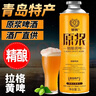 麦公子青岛特产精酿原浆啤酒整箱礼盒1L大桶装扎啤马年生肖春节年货送礼 琴鸥系列黄啤精酿 1L 6桶 礼盒装 实拍图