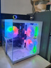 七彩虹18核i9高配RTX5060/5050电脑全套i7游戏组装机i5办公设计台式机企业商务电竞网吧RTX3060/3050主机 配置一【极速办公多开/畅玩腾讯全家桶/3D网游】 电脑主机+外设礼包【 实拍图