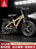 凤凰（Phoenix）儿童自行车男孩女孩脚踏车自行车3-12岁童车单车双碟刹带辅助轮 极氪一体轮+银色+辅助轮（后座款） 18寸(适合120-140cm) 实拍图
