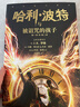 哈利·波特与被诅咒的孩子 课外阅读 阅读 课外书 一升二衔接 小升初衔接  实拍图