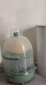 九阳（Joyoung）煮蛋器多功能智能蒸蛋器 14个蛋量 ZD14-GE140（飞泉绿） 实拍图