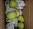 京鲜生 新疆库尔勒香梨 净重10斤 一级 单果100-120g 生鲜水果 实拍图