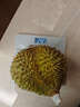 京鲜生 泰国金枕头榴莲 净重4-5斤 1个装 生鲜 年货 源头直发 包邮 实拍图