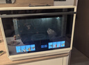 凯度（CASDON）【杨幂同款】台式微蒸烤炸一体机台嵌两用嵌入式微蒸烤微波炉电烤箱蒸烤箱32L大容量升级款B8pro 实拍图