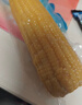京鲜生东北黄玉米棒200g×8棒25年新玉米 真空黏玉米 多种包装 源头直发 实拍图