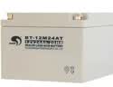赛特BT-12M24AT(12V24Ah/20HR)铅酸蓄电池消防主机太阳能 12V24Ah 晒单实拍图