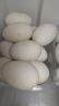 保卫蛋蛋山东鹅蛋12枚巨无霸孕妇宝宝放心吃年货礼盒装2.6斤生鲜 源头直发 实拍图