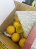 京觅 福建爆汁黄金葡萄柚 新鲜水果单果300g起 8.5斤装 源头直发包邮 实拍图