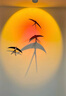 鲸与光 夕阳落日灯日不落射灯嵌入式玄关装饰壁画灯走廊洗墙灯 白色明装夕阳灯-夕阳红10瓦 实拍图