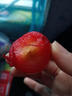 京鲜生 智利进口樱桃李4J级 900g礼盒装  新鲜水果 实拍图