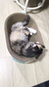 疯狂的主人猫抓板窝特大号猫玩具猫爪板猫抓盆不掉屑猫窝椭圆形瓦楞纸 实拍图