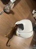 小佩智能自动猫砂盆全自动猫厕所MAX2 开放式一键换砂(支持鸿蒙智联)  实拍图