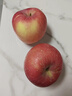 京鲜生 烟台红富士苹果 净重10斤  单果160g以上 水果礼盒 实拍图