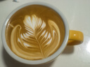 MHW-3BOMBER轰炸机涡轮打奶泡缸咖啡拉花杯 不锈钢鹰嘴 意式银斑450ml 实拍图