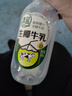 清蓝 生椰牛乳380ml*15瓶 鲜榨椰汁浓醇牛奶椰奶双蛋白饮料营养早餐奶 实拍图