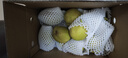 京鲜生 新疆特级库尔勒香梨 净重5斤单果120g以上 生鲜水果 实拍图