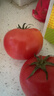 京地达栗贝诺山东普罗旺斯番茄西红柿 净重4.5斤 单果100g+蔬菜源头直发 实拍图