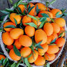 农夫山泉 17.5° 橙 净重10斤 铂金果 生鲜水果赣南地区脐橙橙子年货礼盒 实拍图